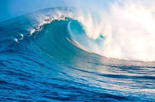 Alimlər: Bəşəriyyətin gələcəyi sual altındadır