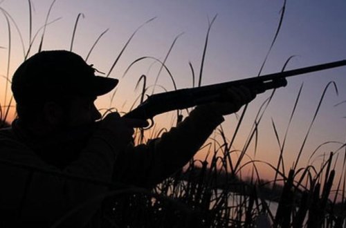Bu ərazilərdə ov etmək qadağandır - Nazirlik AÇIQLADI
