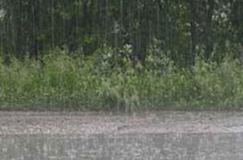 Yağış, leysan, külək - SABAHIN HAVASI