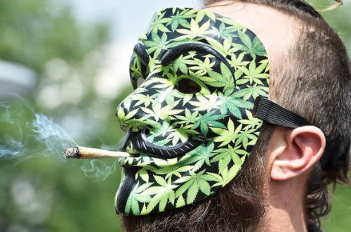 Gürcüstanda çətənə festivalı keçirilə bilər