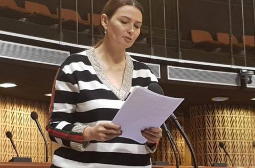 Qənirə Paşayeva AŞPA-da ciddi məsələsini qaldırdı - FOTO