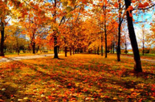 İstirahət günlərinin HAVA PROQNOZU açıqlandı