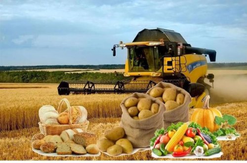 Azərbaycan kəndlisi məhsulunu birjada satacaq