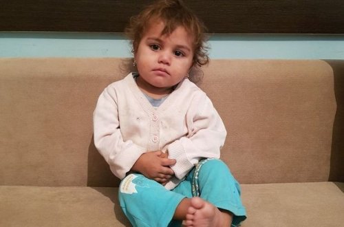 Bakıda qızcığaz son anda itlərdən xilas edildi