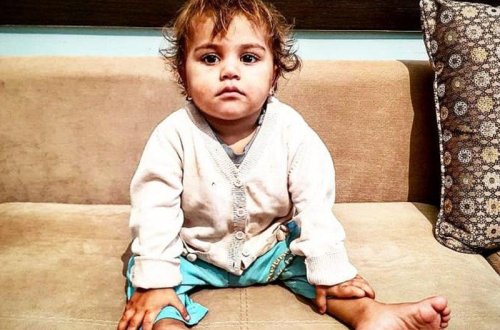 Bakıda itlərin parçalamaq istədiyi uşaq oğurlanıb - Səsə qaçdım ki ... - VİDEO - FOTO