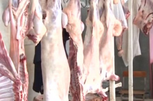 “Heç bir ətin satışı qadağan deyil” - Eşşək ətinin satışı ilə bağlı AÇIQLAMA - VİDEO - FOTO