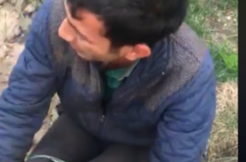 Azərbaycanda əmisinin gəlinini qaçıran evli kişini iplə bağlayıb başına oyun açdılar (+18 VİDEO)