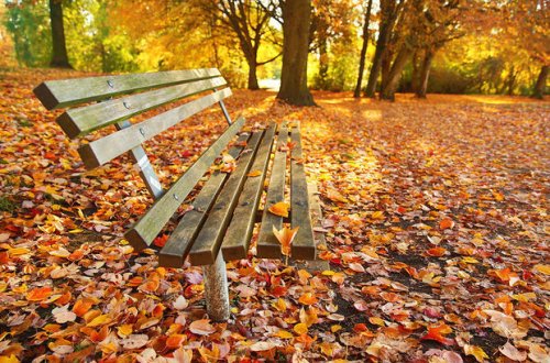 Sabah Bakıda 24 dərəcə isti olacaq