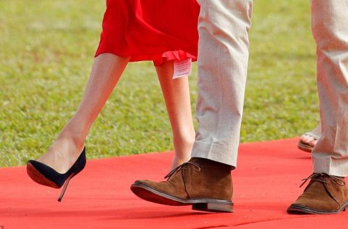 Şahzadənin həyat yoldaşı BİABIR OLDU - Dünya bundan DANIŞIR