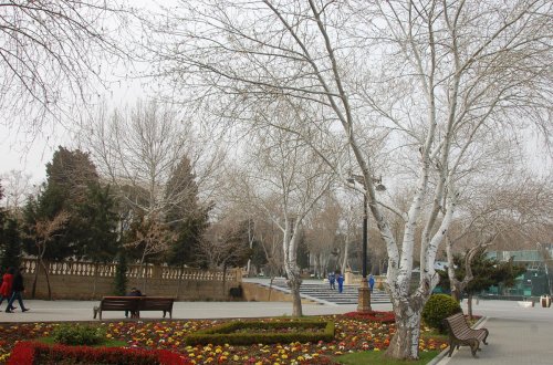 Axşam saatlarında güclü şimal-qərb küləyi... - HAVA PROQNOZU