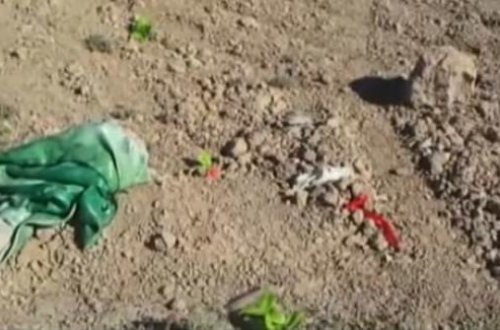 22 yaşlı Səbinə sevgilisindən uşaq dünyaya gətirdi, anası ilə birləşib körpəni öldürdü - VİDEO