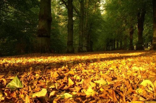 Noyabrda hava necə olacaq? - AYLIQ PROQNOZ