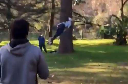 Özünü sapanda bağlayan model ağacdan asılı vəziyyətdə qaldı - VİDEO - FOTO