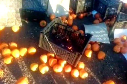 Bakı-Quba yolunda maşın aşdı: 20 ton xurma yerə töküldü – Fotolar