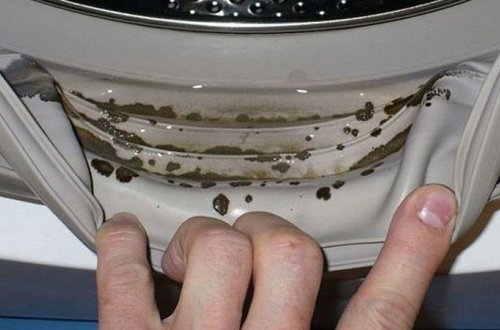 Paltaryuyan maşını kifdən qorumağın ən sadə üsulu