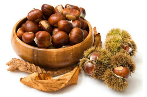 Şabalıdın insan orqanizminə faydaları və ziyanları