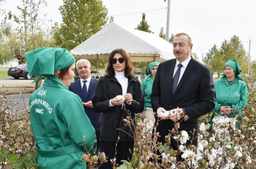 Prezidentin pambıqçılarla MARAQLI DİALOQU: 