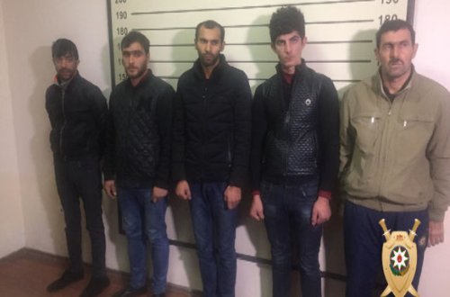 Sumqayıtda mütəşəkkil cinayətkar dəstə saxlanıldı - FOTO