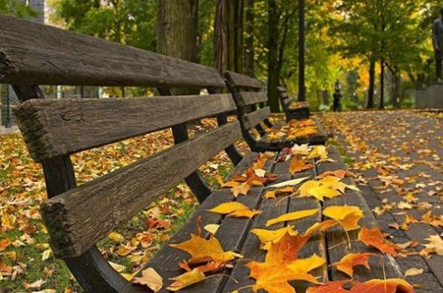 Sabaha olan hava proqnozu açıqlandı