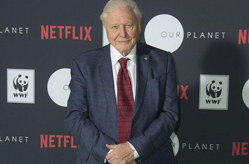 Ən məşhur aparıcı yeni şedevr yaradıb - VİDEO - FOTO