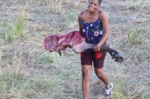 Aslanlardan qaçan öküzlər insanlara yem oldu - VİDEO