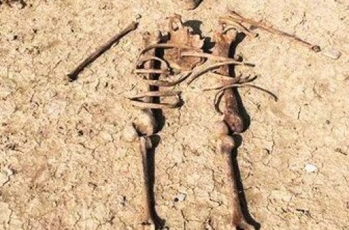 Müşfiqin məzarı ilə bağlı yeni versiya - 