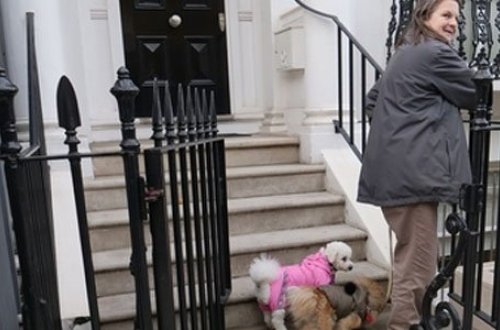 Zamirənin milyonluq evi, itinə baxan qadının açıqlamaları... - FOTOLAR