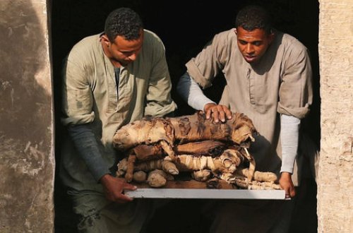 6 min illik pişiyin mumyası tapıldı - FOTOLAR