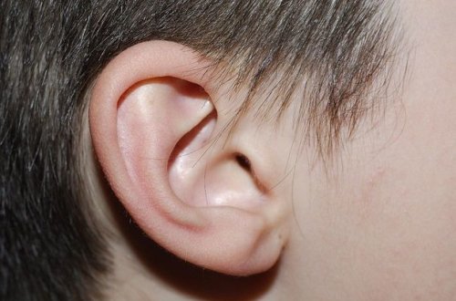 Qulağı kəsilən şəxs məhkəməyə məcburi gətiriləcək