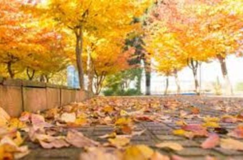 Sinoptiklərdən hava müjdəsi