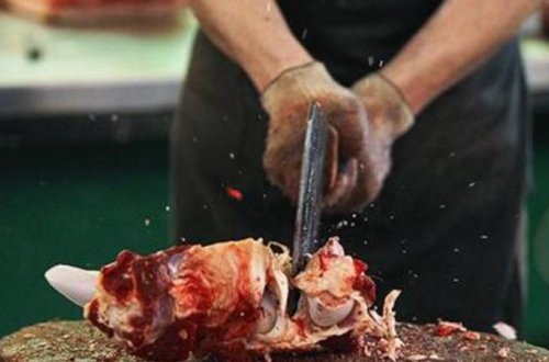 Göyçayda avtomobilin yük yerindən yarım ton yararsız ət tapıldı