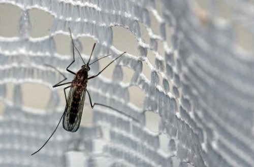 Hər iki dəqiqədə bir körpənin həyatına son qoyan TƏHLÜKƏLİ EPİDEMİYA