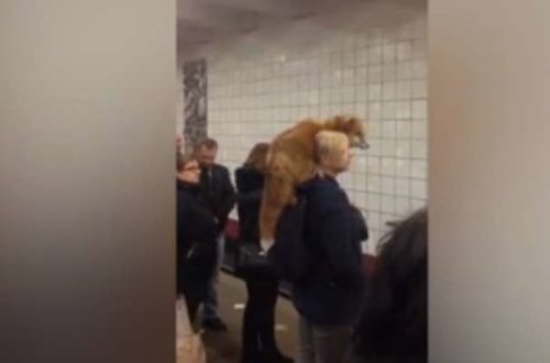 Metroya minən qadın bu hərəkəti ilə təəccübləndirdi - VİDEO