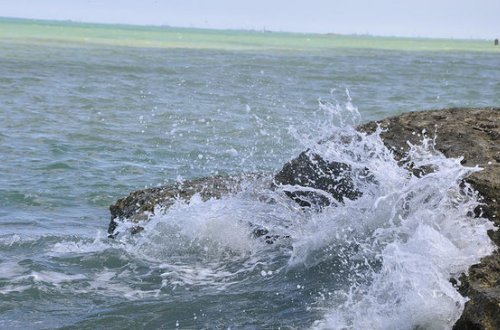 Alimlərdən Xəzərlə bağlı QORXUNC XƏBƏRDARLIQ: Dəhşətli nəticələrə...