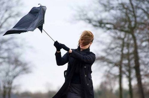 Sinoptiklər güclü külək vəd edirlər