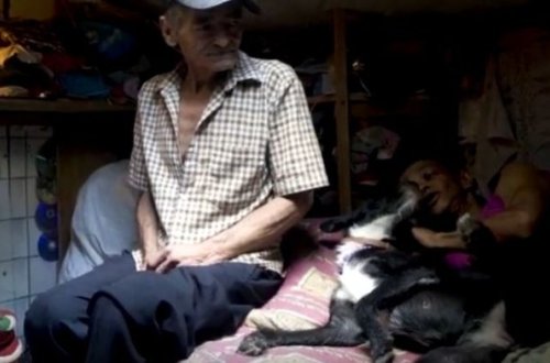 Bu ailə 22 ildir kanalizasiyada yaşayır - VİDEO