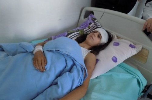 Daha bir canavar hücumu: Bu dəfə Astarada - FOTO