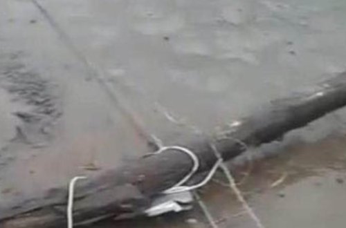 Güclü külək Zaqatalada işıq dirəklərini aşırdı - FOTO