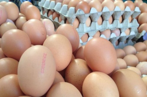 Bakıda satılan yumurta ilə bağlı əhaliyə xəbərdarlıq