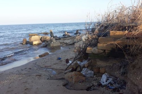 “Qırmızı kitab”a düşən quşları ovlayanlar cəzalandırıldı