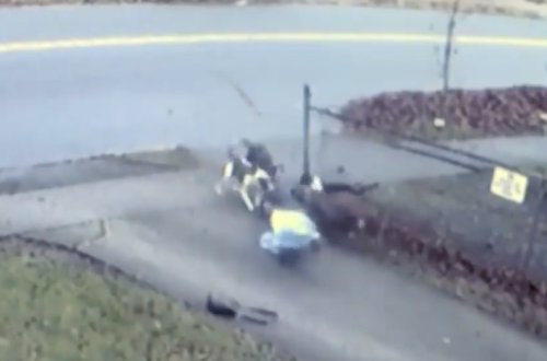 4 KÜÇƏ İTİ YAŞLI QADINI YERƏ YIXIB DİDİŞDİRDİ – DƏHŞƏTLİ GÖRÜNTÜLƏR