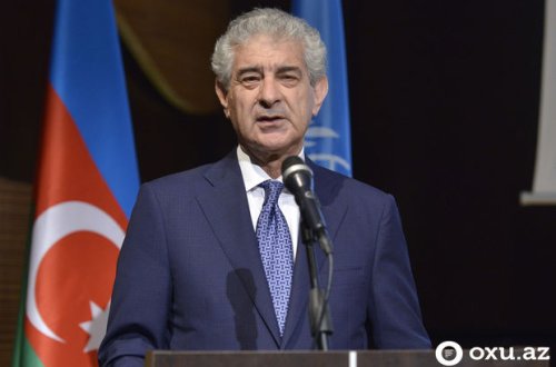 Əli Əhmədov: Beynəlxalq təşkilatlar ikili standartlar azarından qurtula bilmir