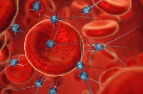 İsraildə niyə xərçəng yoxdur? - Yəhudi həkim xərçəng və qriplə bağlı HƏR ŞEYİ AÇDI - MÜSAHİBƏ