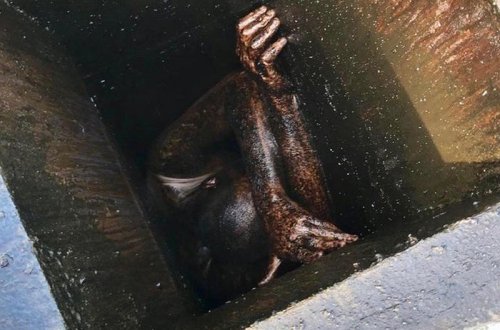 Oğurluğa girən kişi bacada ilişib qaldı, 2 gün sonra xilas etdilər - FOTO