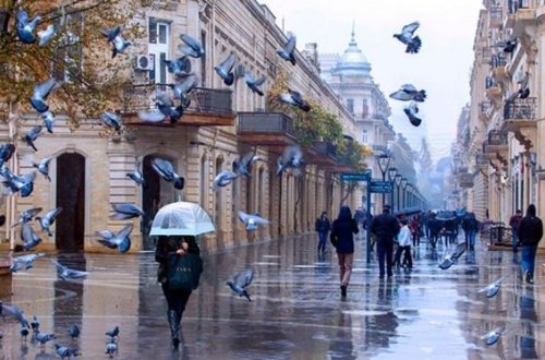 Külək, yağış, qar - HAVA PROQNOZU