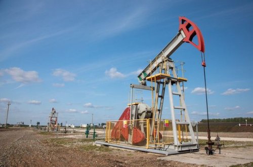 Neft kəskin ucuzlaşdı