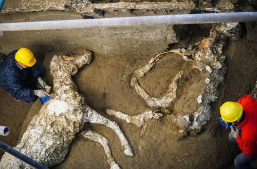 Pompeydə qədim dövrə aid at qalıqları tapıldı - FOTO