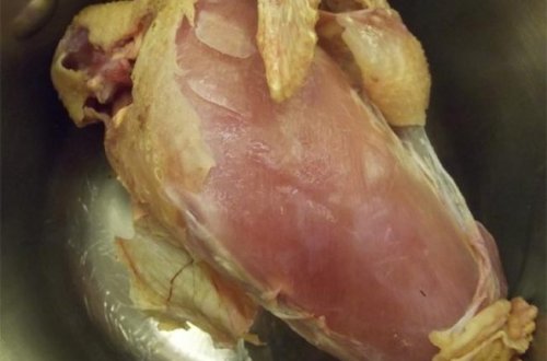 Kənd toyuğunu broylerdən ayırmağın ən asan yolları - DİQQƏT