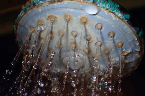 Duşdakı bu böyük təhlükədən XƏBƏRİNİZ VARMI - Alimlərdən ŞOK ARAŞDIRMA