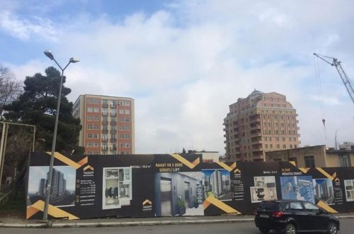 Paytaxtda ağaclar kütləvi şəkildə kəsilib - FOTO/VİDEO